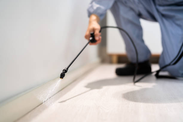 Certified termite inspector examining foundation in Chagrin Falls